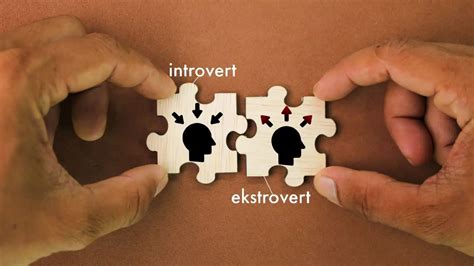 Image result for Introvets vs Extroverts