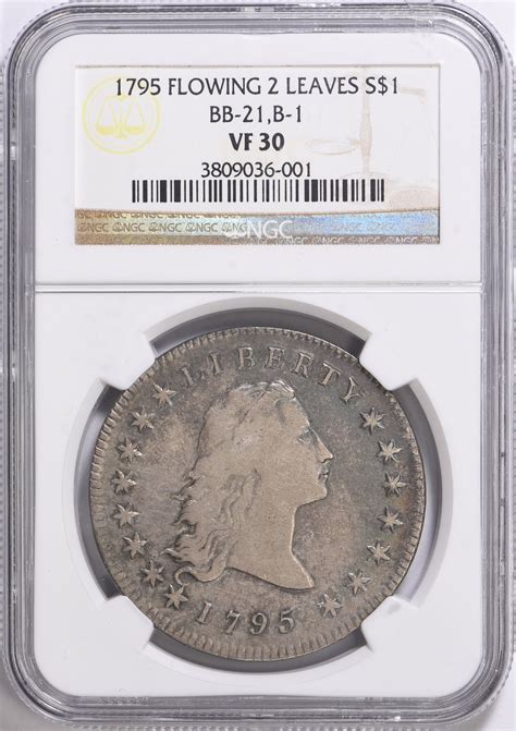 1795 Flowing Hair Silver Dollar B-1 BB-21 NGC VF-30 (Toned) (Item ...