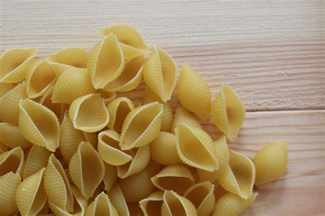 Image result for Types of Pasta Shells