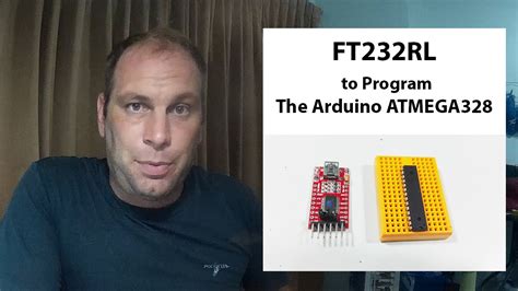ATmega328 Programmer 的图像结果