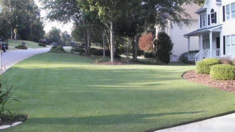 How To Grow Grass In Shaded Yard at Maddison Pickworth blog