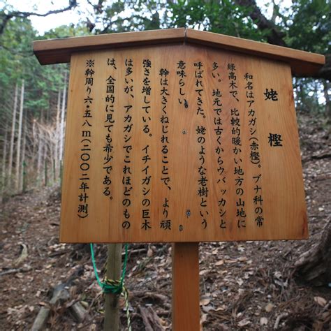 Ubakkashi (Tokigawa-machi) - All You Need to Know BEFORE You Go