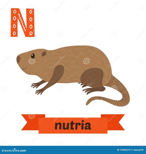 Nutria. N Letter. Cute Children Animal Alphabet in Vector Stock Vector ...