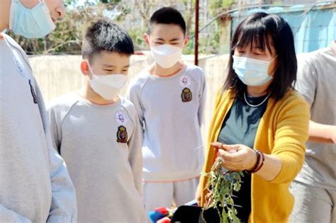 追寻圣贤足迹，私立济南齐鲁学校一（2）中队“寻访美丽中国”之尼山圣境_山东站_中华网