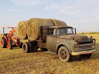 Image result for CWC Customs