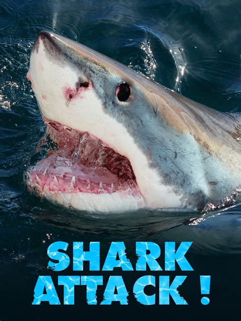 Scariest Shark Attack Ever