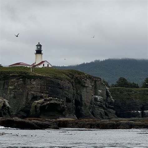 DI-YA ALUTIIQ CHARTERS (2025) All You Need to Know BEFORE You Go (with ...