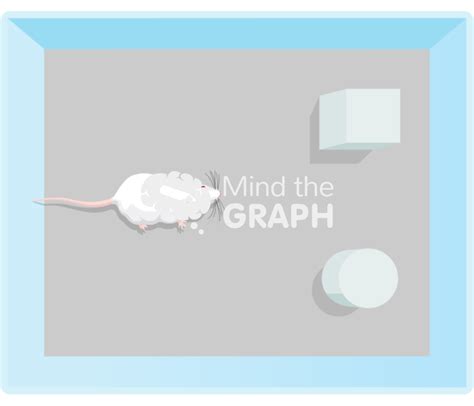 Image result for Object Learning Test