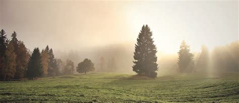 Buma Funeral Homes | Milford, Uxbridge & Whitinsville MA