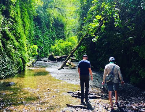 California’s Fern Canyon now requires a permit to visit