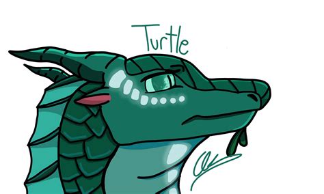 Turtle Wings of fire by Artdragon36 on DeviantArt
