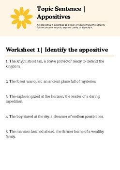 Image result for Writing Revolution Appositive Worksheet