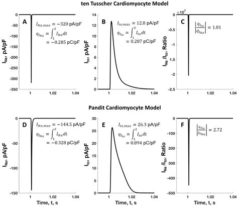 Modeling Fibroblast–Cardiomyocyte Interactions: Unveiling the Role of ...