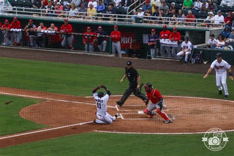 Image result for Spring Training 2018