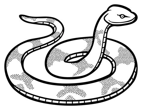 Snake Line Drawing - ClipArt Best