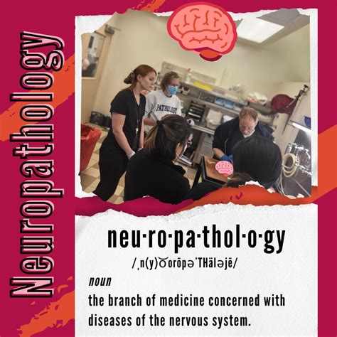 DeKalb County Medical Examiner's Office on LinkedIn: #weareme #neuropathology #pathology # ...