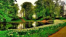 Beautiful Nature Background by Beautiful Nature Backgrounds Wallpaper Cave Beautiful Nature Background