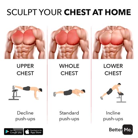 Best Exercises For Upper Pec Development at Charles Six blog