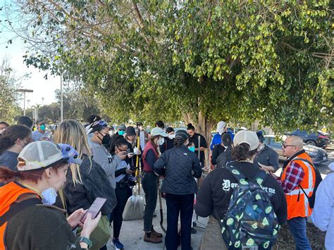 Scores of volunteers converge on Pasadena to help cleanup amid Eaton fire’s devastation – Orange ...