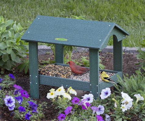 Duncraft.com: Covered Ground Platform Feeder | Bird feeders, Ground ...