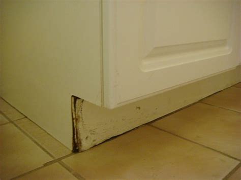 THE ATRIUM RESORT (Virginia Beach) - Hotel Reviews, Photos, Rate ...