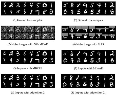 Variational Autoencoding with Conditional Iterative Sampling for ...