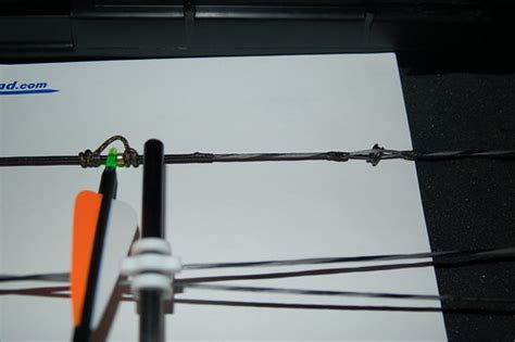 Installing D-loop 的图像结果