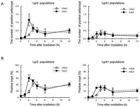 Age-Dependent Differences in Radiation-Induced DNA Damage Responses in ...