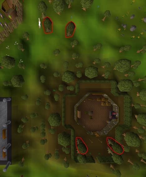 Image result for Old Magic Tree OSRS