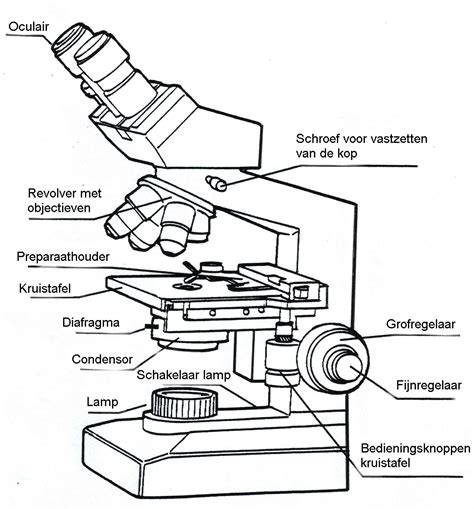 Microscope Labeled Parts 的图像结果