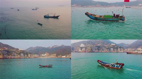 浙江舟山万艘渔船恢复捕鱼生产(组图)_新闻中心_新浪网