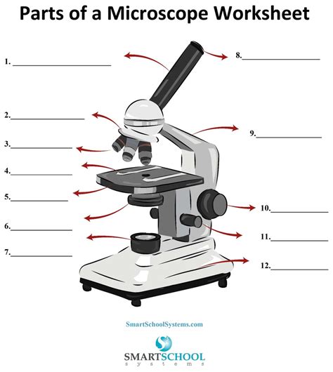 Image result for Compound Microscope for Exam