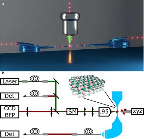 Image result for Quantum Coupling Machine