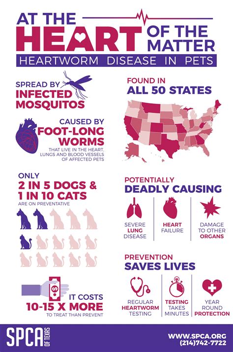 SPCA of Texas | Heartworm Treatment - SPCA of Texas