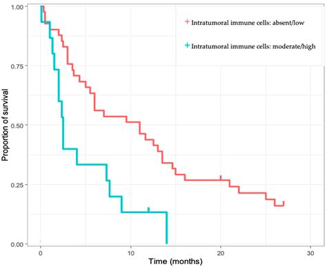 The Role of Immunohistochemistry in the Differential Diagnosis between ...