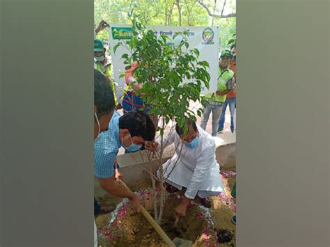 World Environment Day: SDMC plants around 2800 trees, shrubs, conducts ...