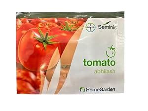 SEMINIS HYBRID TOMATO VARIETY - ABHILASH (COUNT OF 10 SEEDS FOR HOME ...