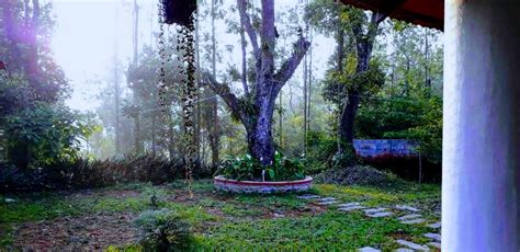 Fire Dale, Sakleshpur - Homestay Advisor