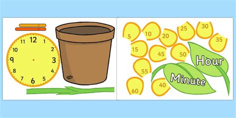 Large Flower Clock Display Cut Outs (teacher made) - Twinkl