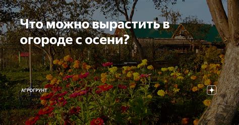 Что можно вырастить в огороде с осени? | АГРОГРУНТ | Дзен