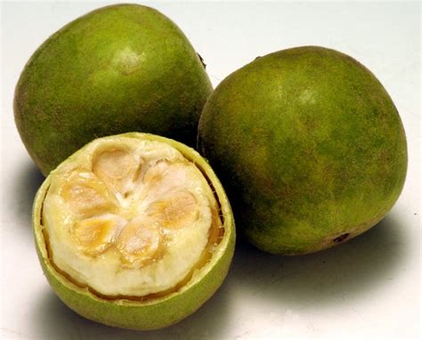 Monk Fruit - Monk Fruit Extract - Raw Nutrition Facts - Sugar