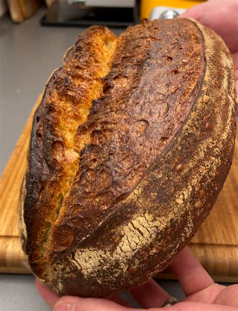 Easy Peasy Sourdough - Jo Semola
