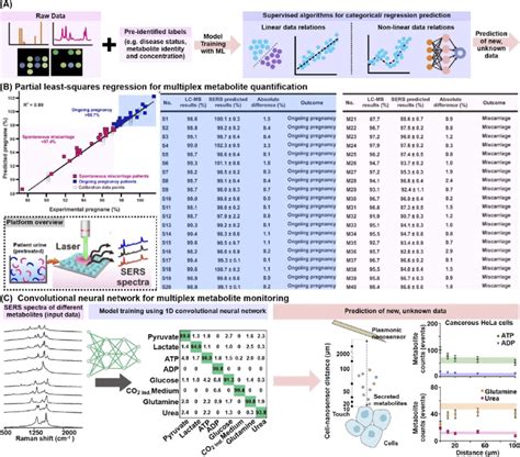 Image result for Workflow of the Supervised Machine Learning Algorithm
