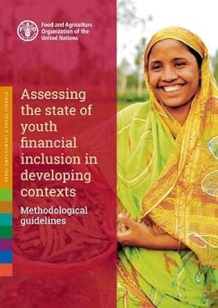 Buy Assessing the state of youth financial inclusion in developing ...