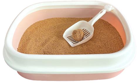 Why 101 Lives Walnut Shell Cat Litter is the Best Choice for Your Feli