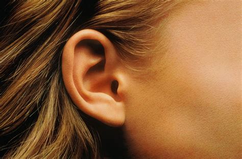 Itchy Ears – Inside Ear Canal Meaning, Causes, Allergies, Treatment ...