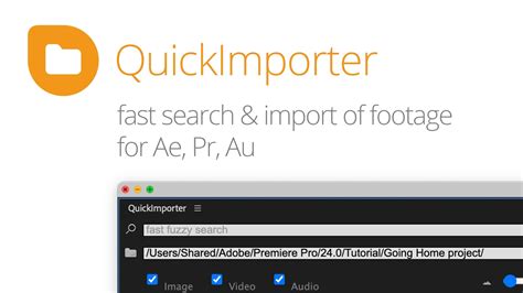 Loading Importer Quicktime.prm 的图像结果