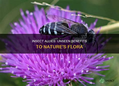 Image result for Insects Help Us How