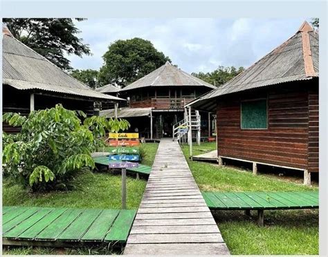AMAZON GERO TOURS (Brazil/AM) - Lodge Reviews & Photos - Tripadvisor