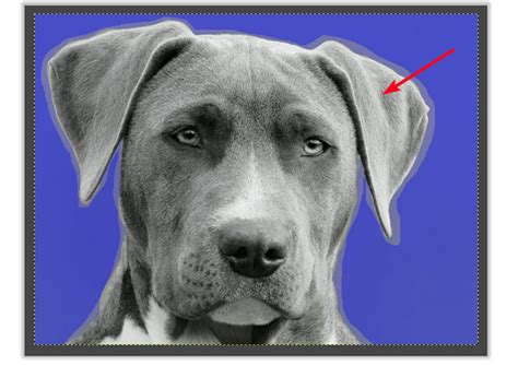 GIMP Transparent Mask 的图像结果